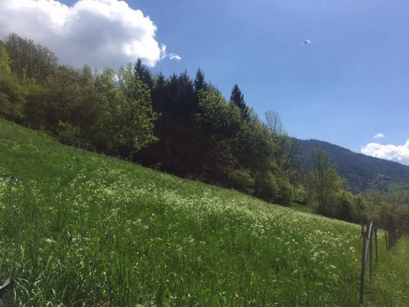 Terreno a Frassilongo in Strada Provinciale 135, 23 - Foto 5