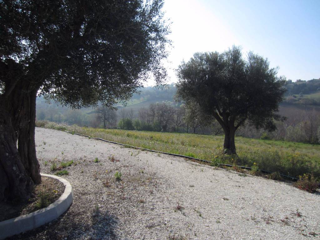 Terreno a Civitanova marche - Foto 5