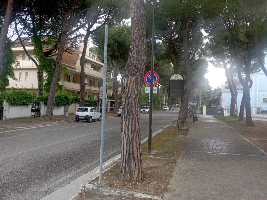 Attico / mansarda a Giulianova in Via Giuseppe Verdi - Foto 2
