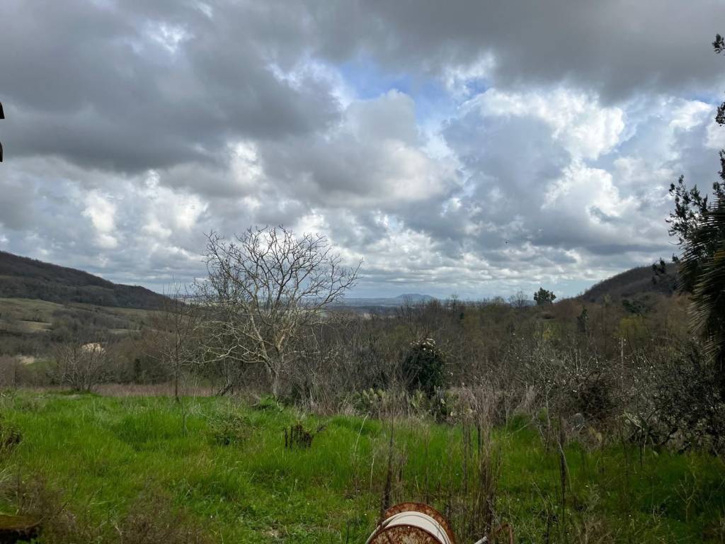 Rustico / casale a Manciano - Foto 2
