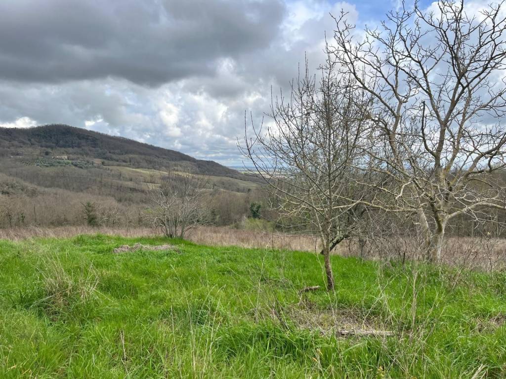 Rustico / casale a Manciano - Foto 3