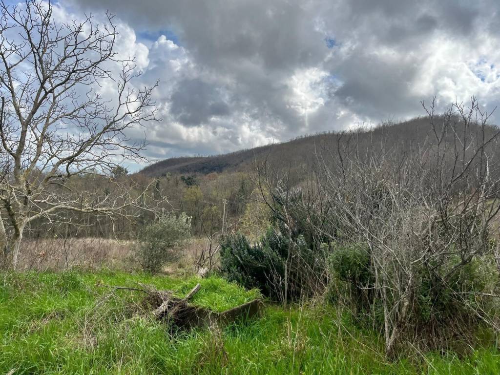 Rustico / casale a Manciano - Foto 4