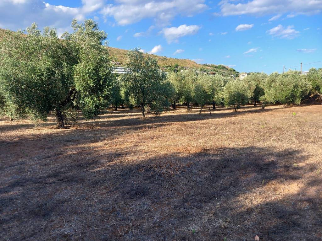 Terreno a Gaeta in Via Sant'Agostino-Casalarga, 14 - Foto 2