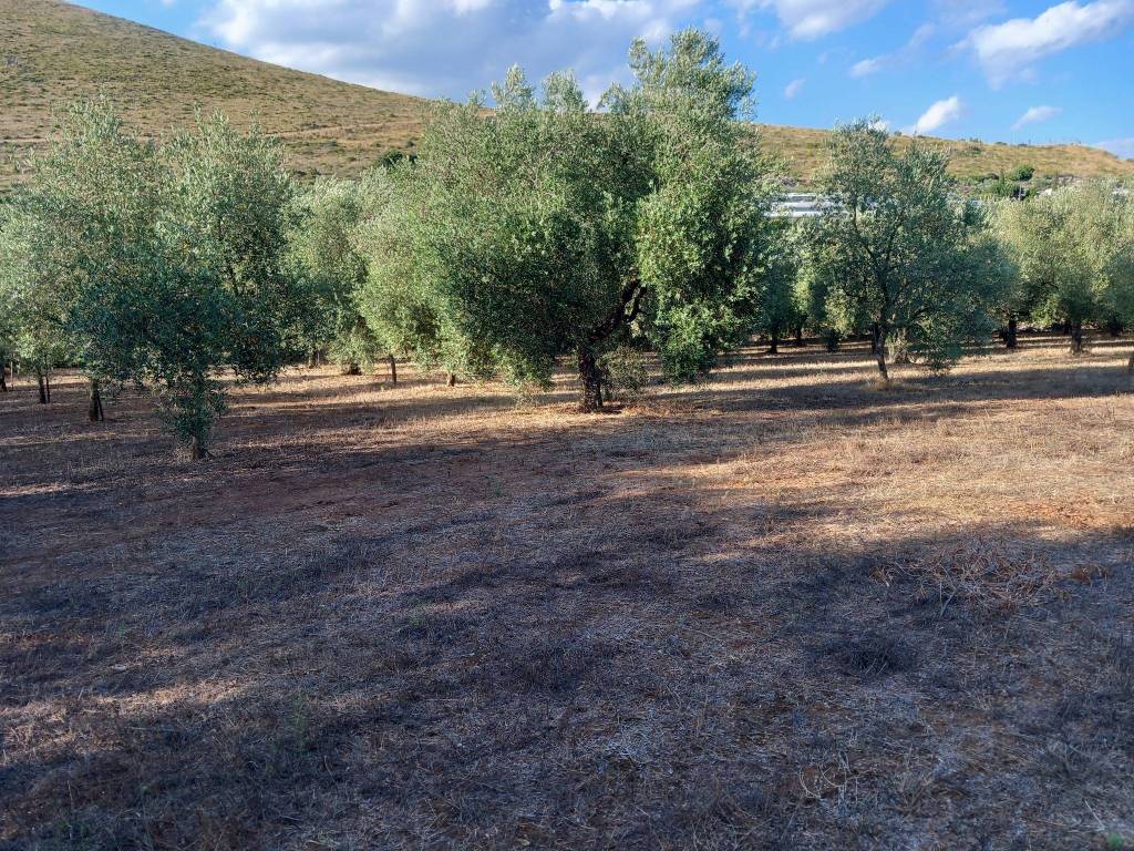 Terreno a Gaeta in Via Sant'Agostino-Casalarga, 14 - Foto 3