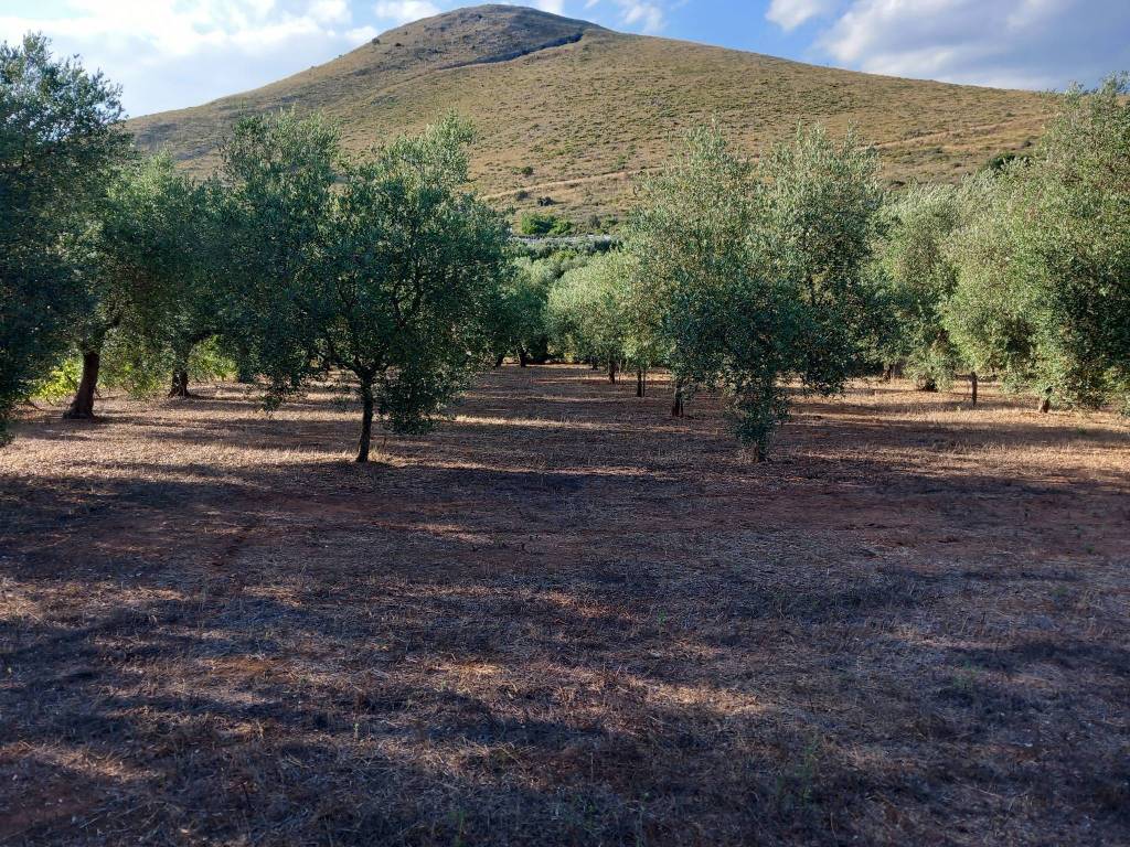 Terreno a Gaeta in Via Sant'Agostino-Casalarga, 14 - Foto 4