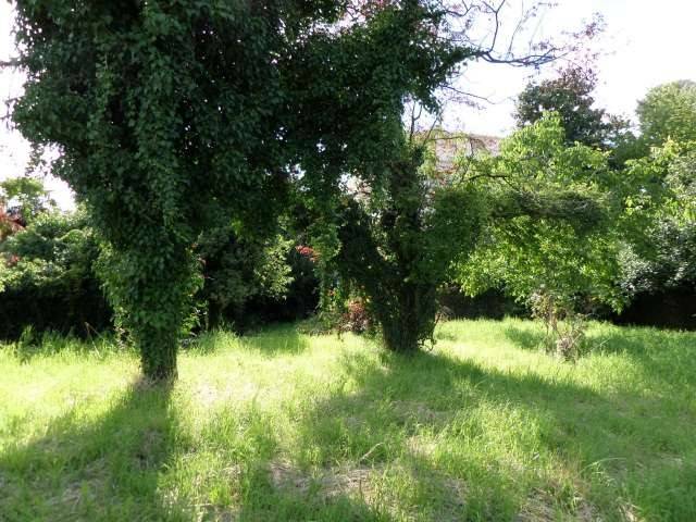 Rustico / casale a San daniele del friuli - Foto 5