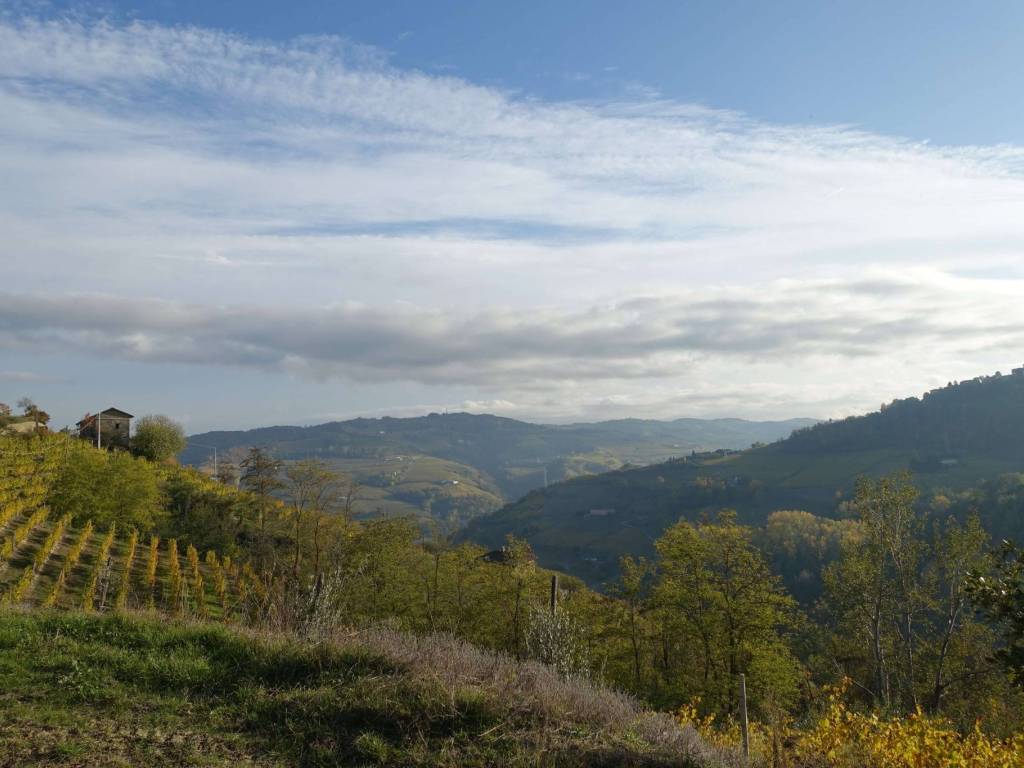 Rustico / casale a Santo stefano belbo - Foto 4
