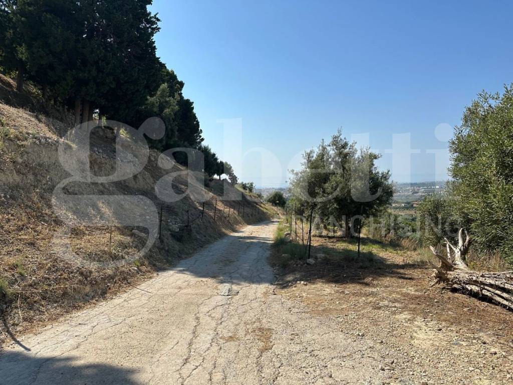 Terreno a Avola in CONTRADA TRAPPETO - Foto 3