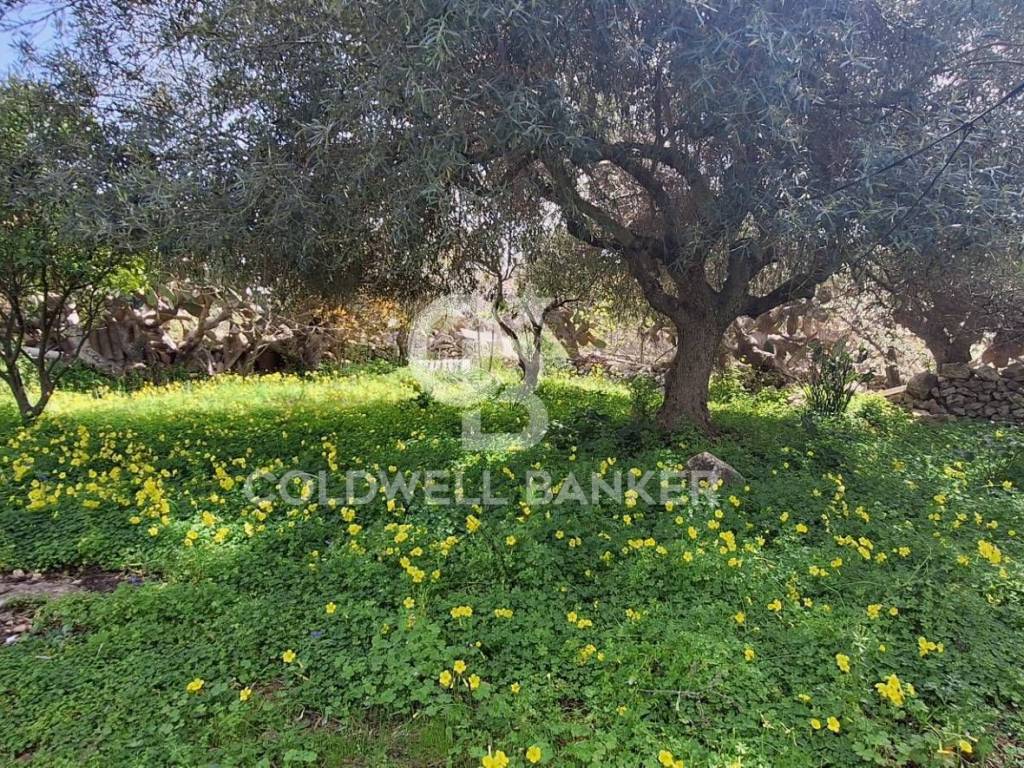 Casa indipendente a Modica in Contrada Sant' Antonio piano ceci - Foto 5