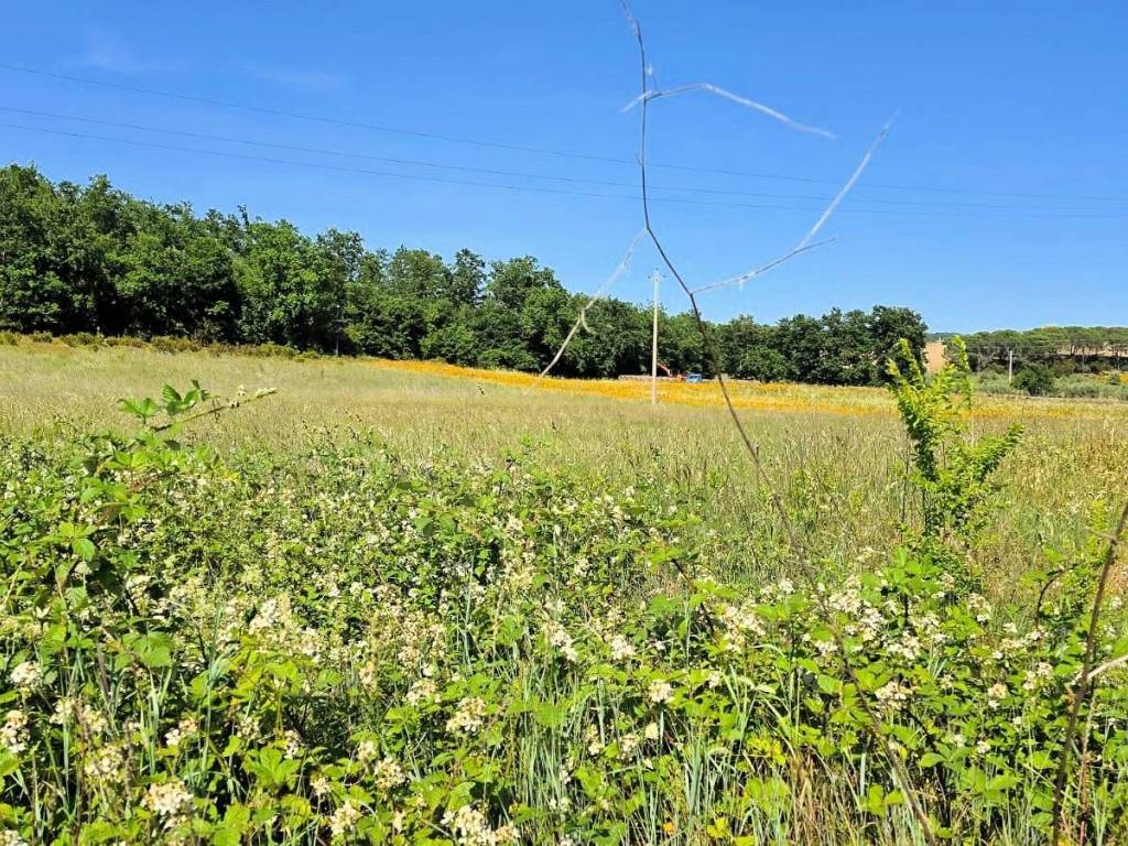 Immobile a Massa marittima - Foto 5