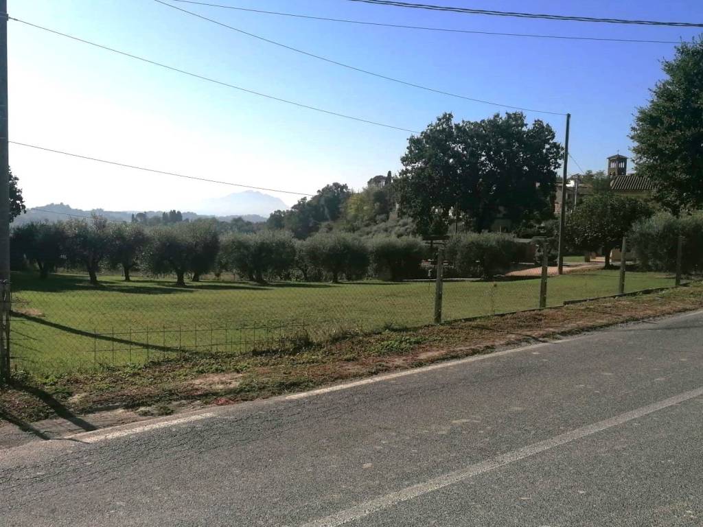Terreno a Magliano sabina in SP54 - Foto 5