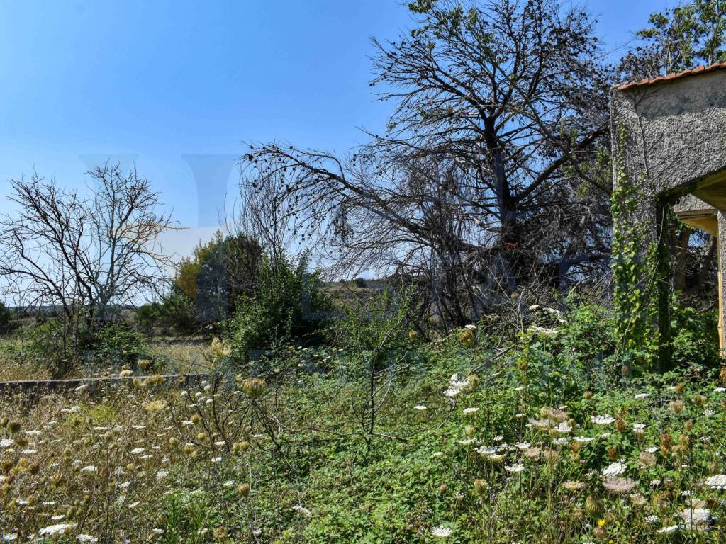 Rustico / casale a Noto in Via Tommaso Fazello, 228 - Foto 3