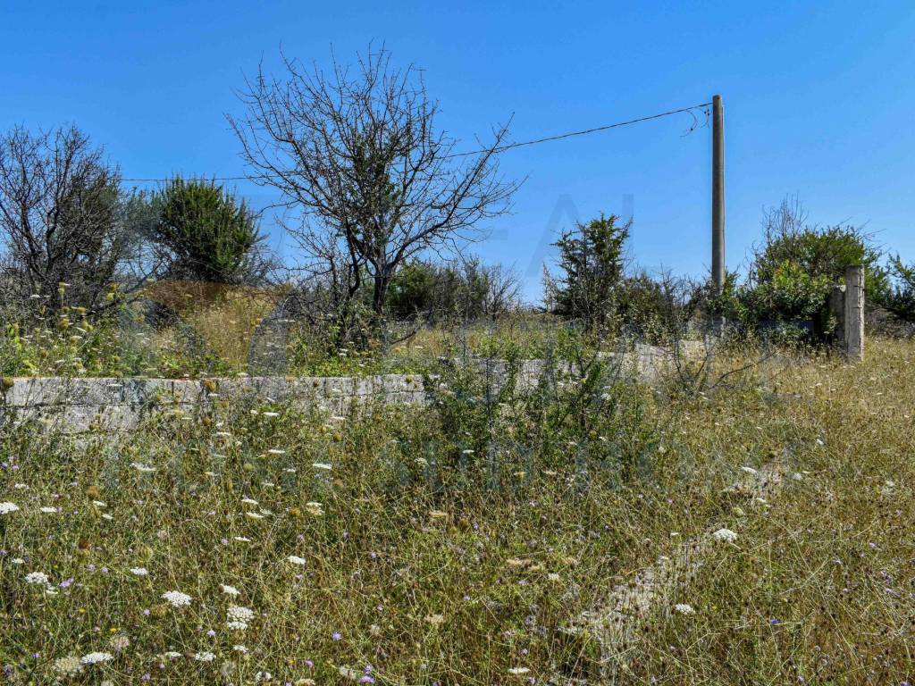 Rustico / casale a Noto in Via Tommaso Fazello, 228 - Foto 4