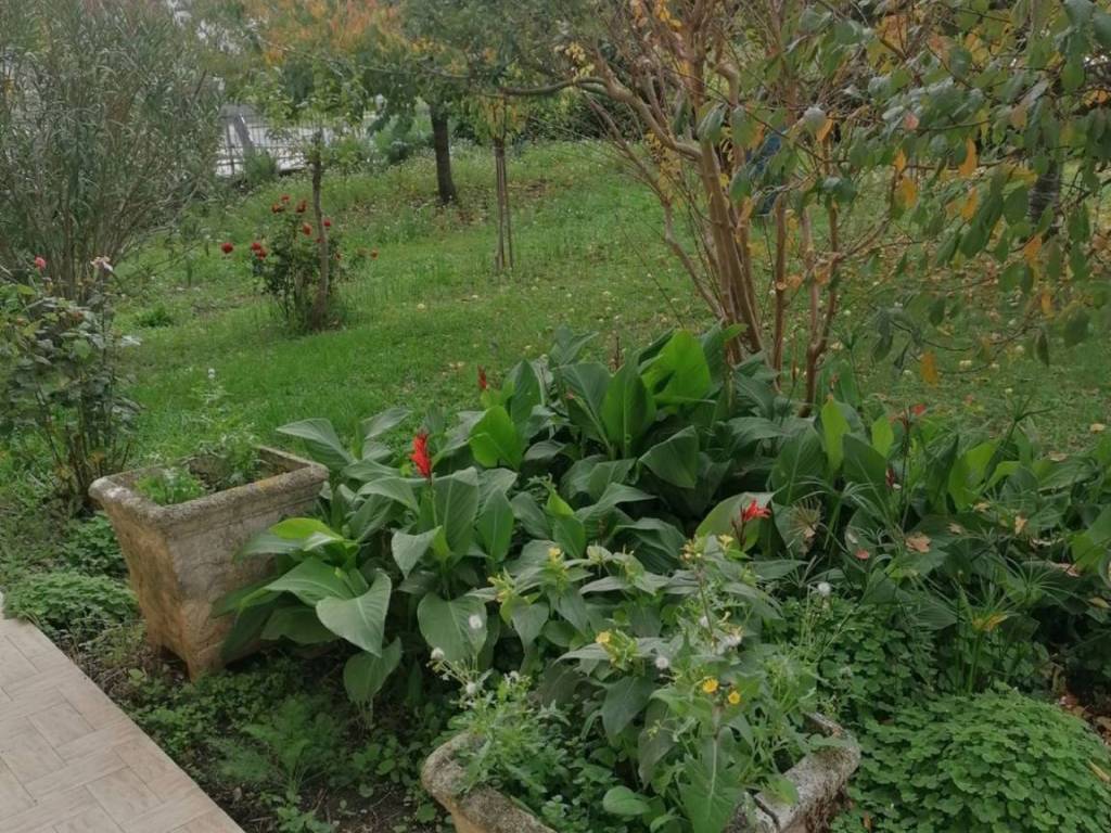 Appartamento a Fermignano in Via roma - Foto 3