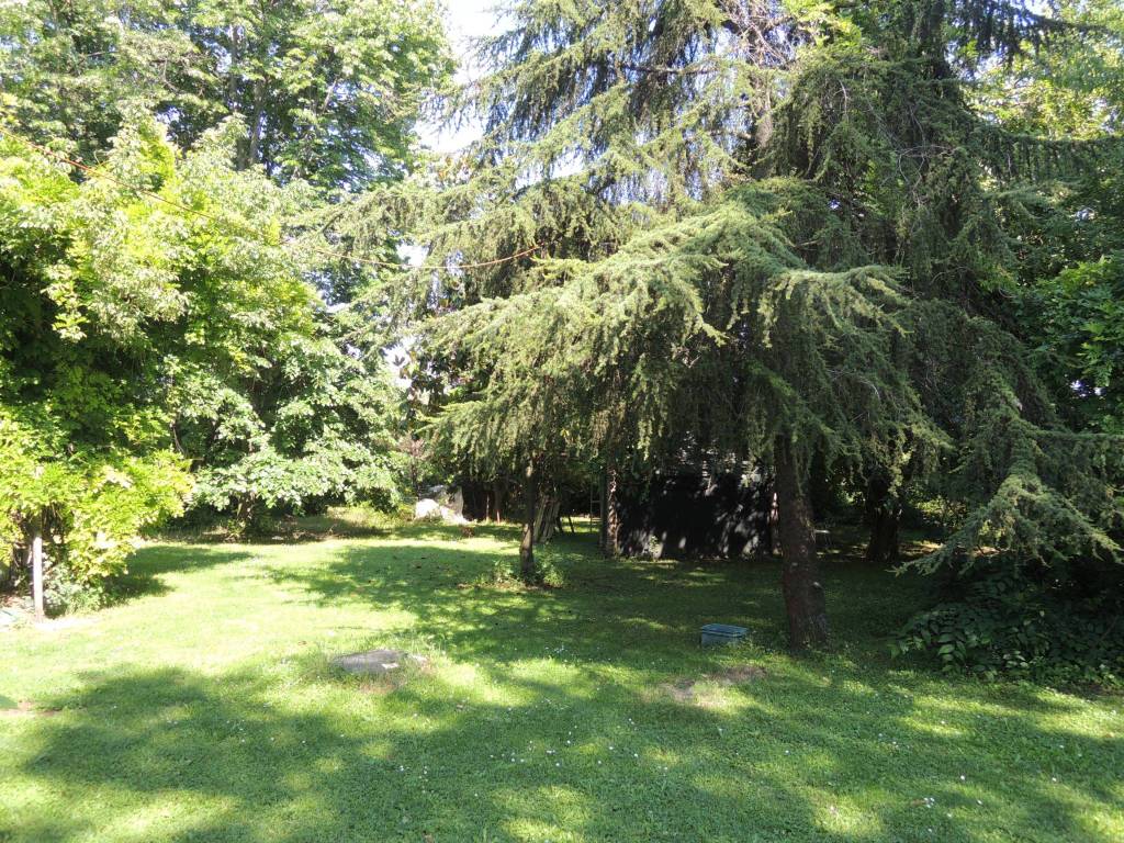 Rustico / casale a San cesario sul panaro - Foto 5