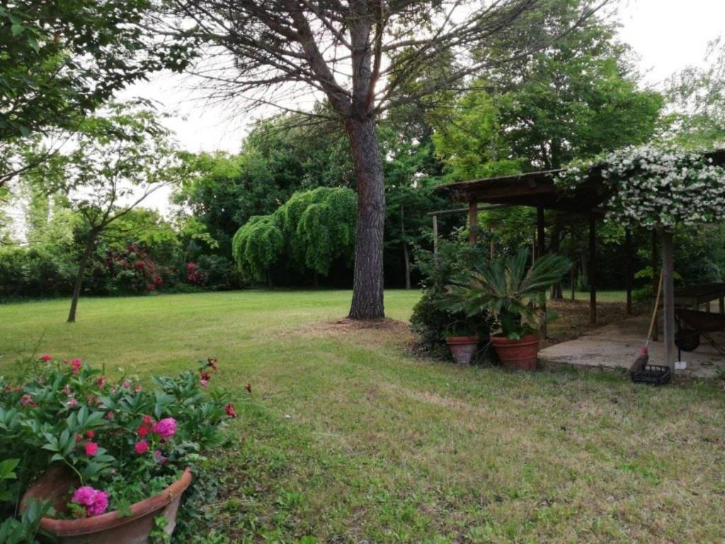 Terreno a Pesaro - Foto 4