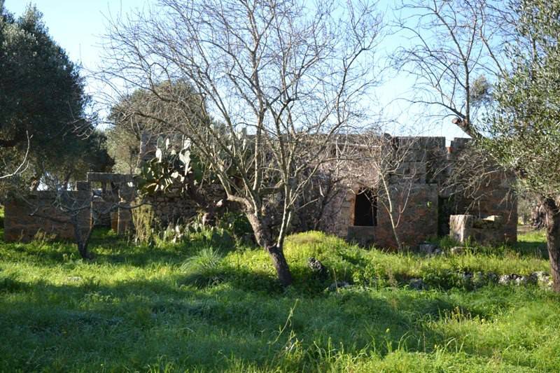 Rustico / casale a Corsano - Foto 3