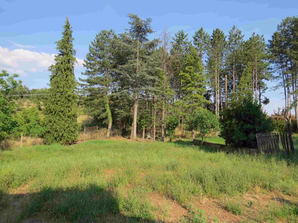 Rustico / casale a Monte san savino - Foto 4