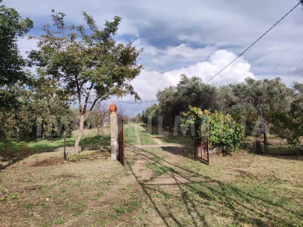 Rustico / casale a Tarquinia in Località Olivastro - Foto 2