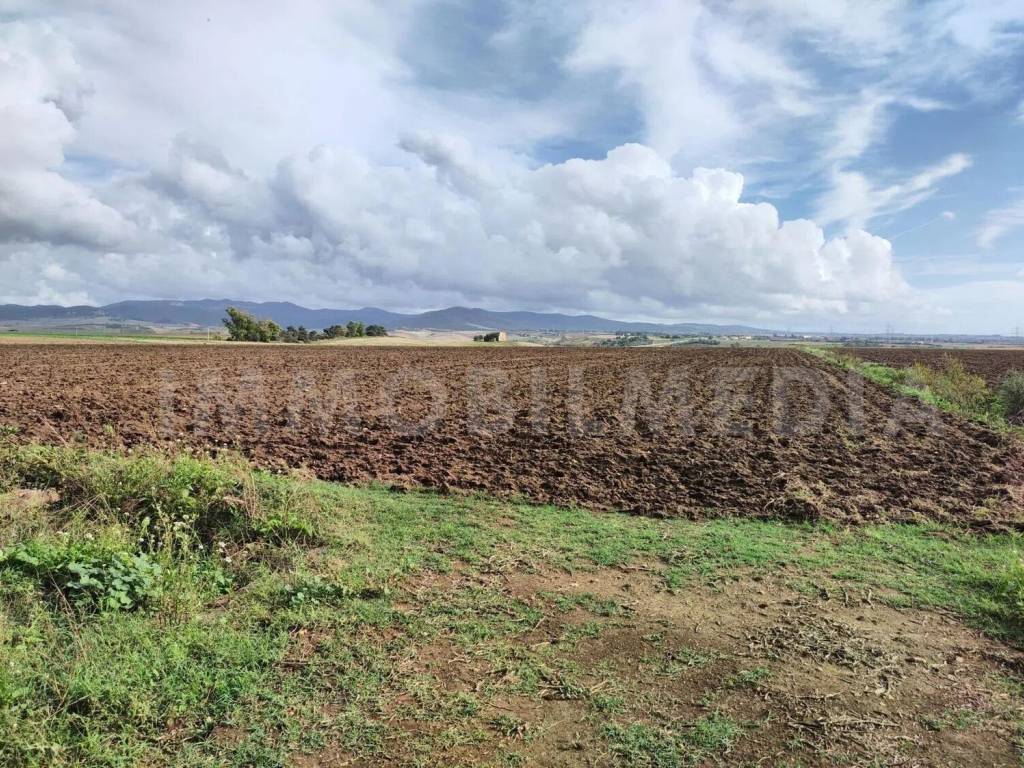 Rustico / casale a Tarquinia in Località Olivastro - Foto 4