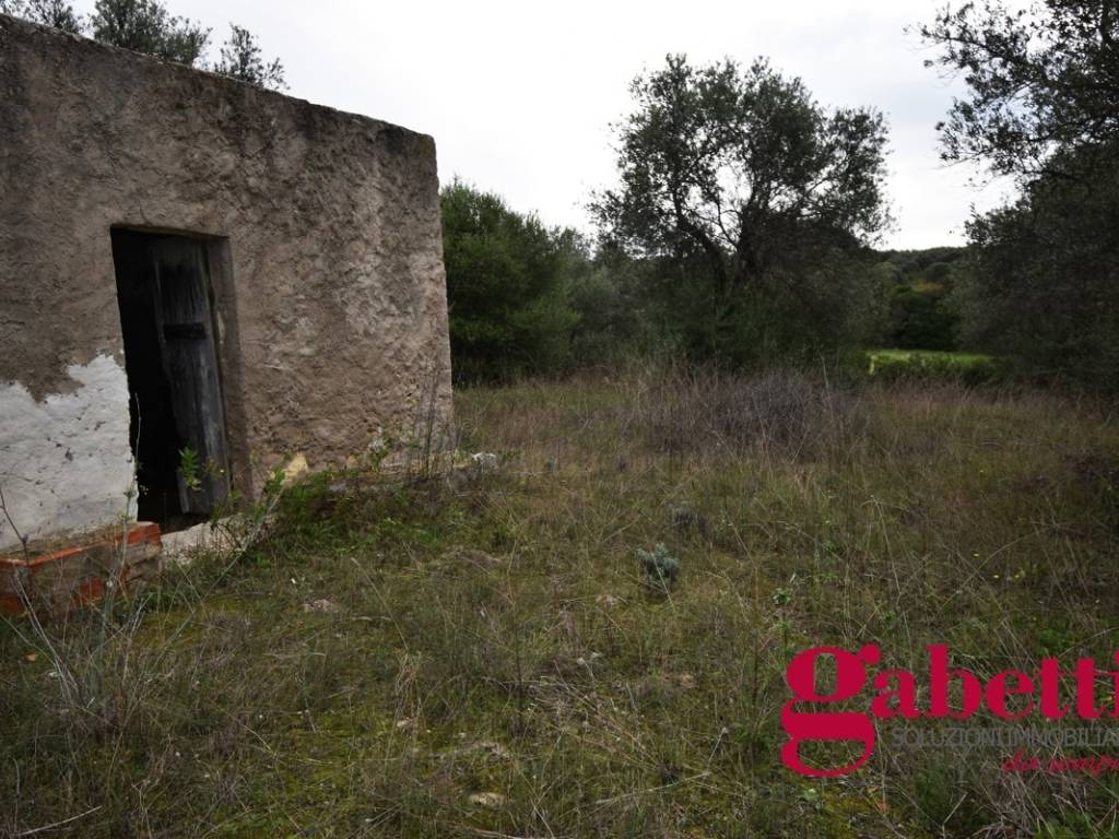 Terreno a Sorso in Strada Vicinale Monte Padru, 1 - Foto 2