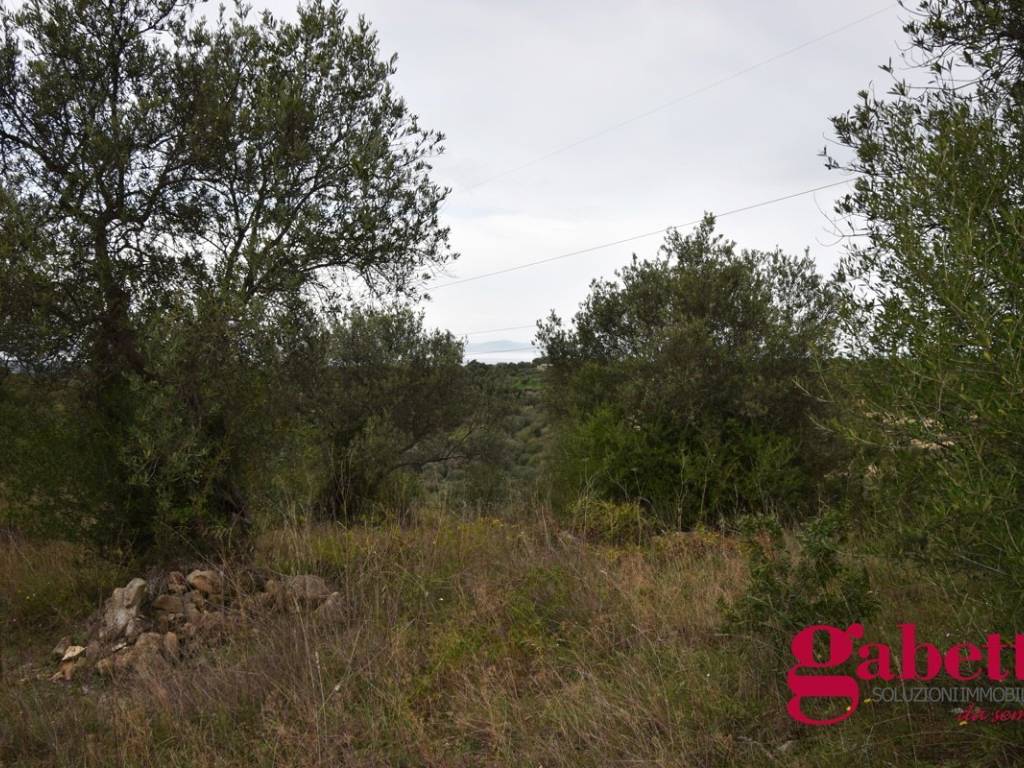 Terreno a Sorso in Strada Vicinale Monte Padru, 1 - Foto 4