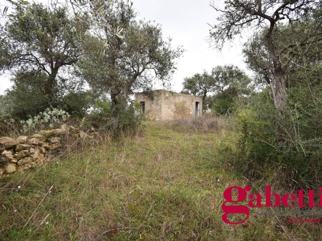 Terreno a Sorso in Strada Vicinale Monte Padru, 1 - Foto 5