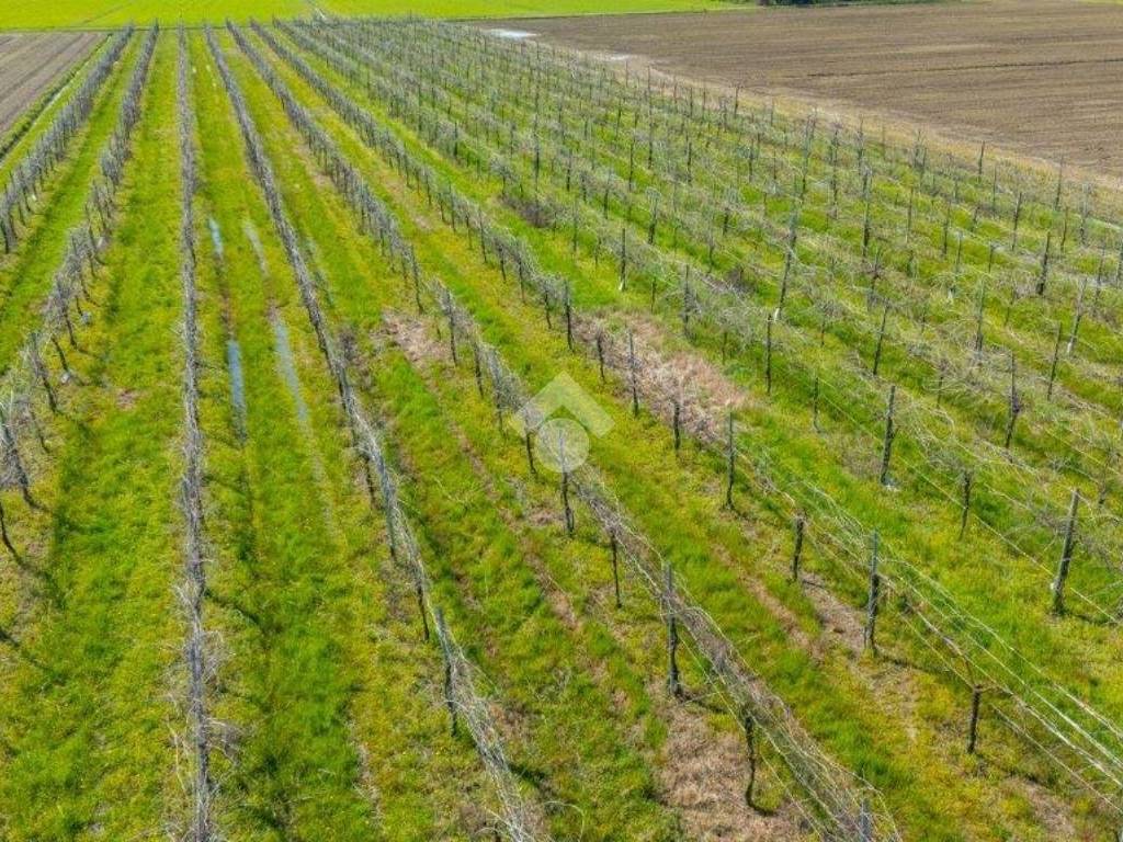 Terreno a Carpi in Via Tre Ponti, 22 - Foto 2