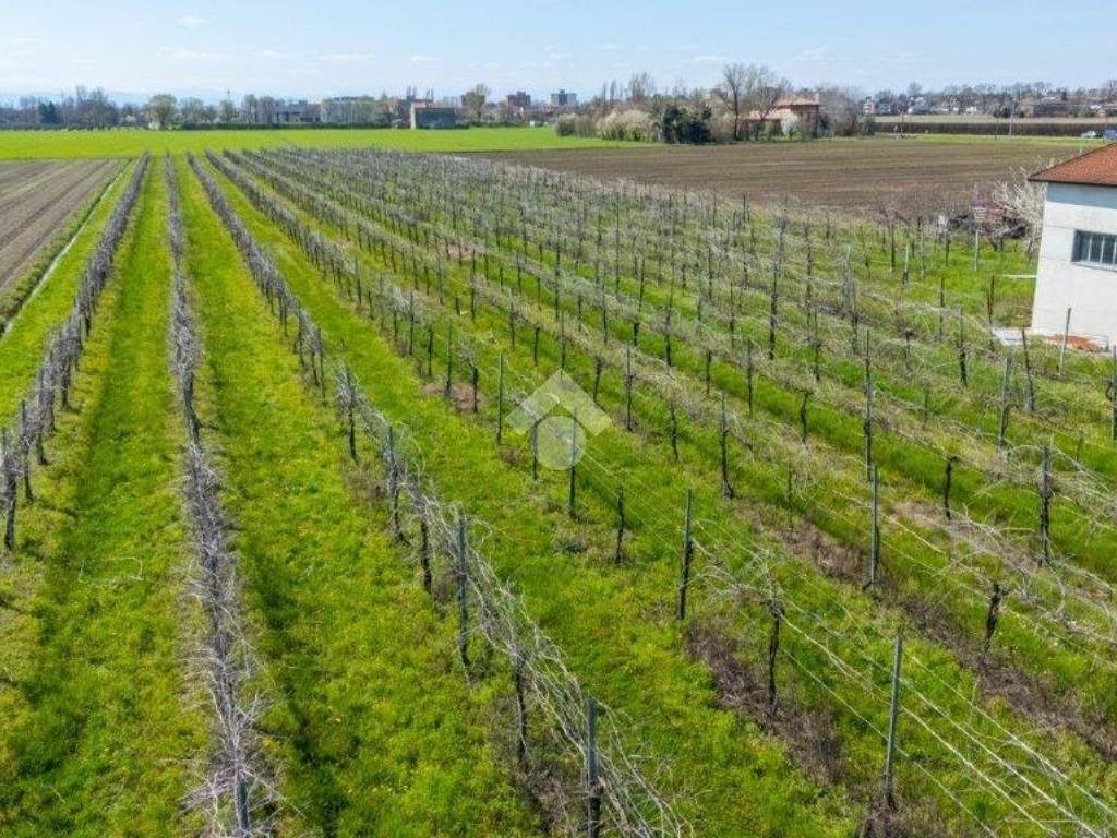Terreno a Carpi in Via Tre Ponti, 22 - Foto 3