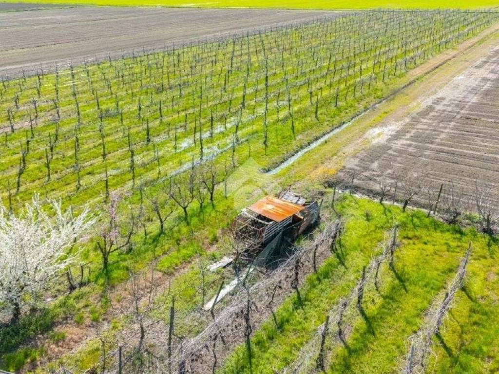 Terreno a Carpi in Via Tre Ponti, 22 - Foto 5