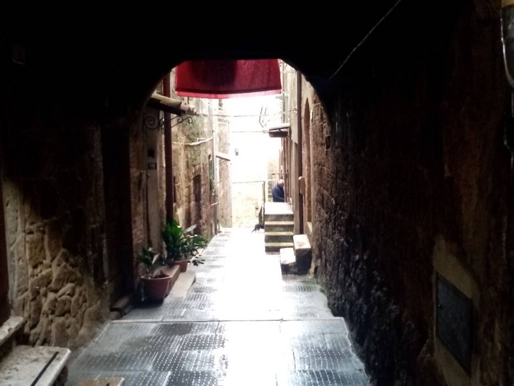 Immobile a Pitigliano - Foto 2