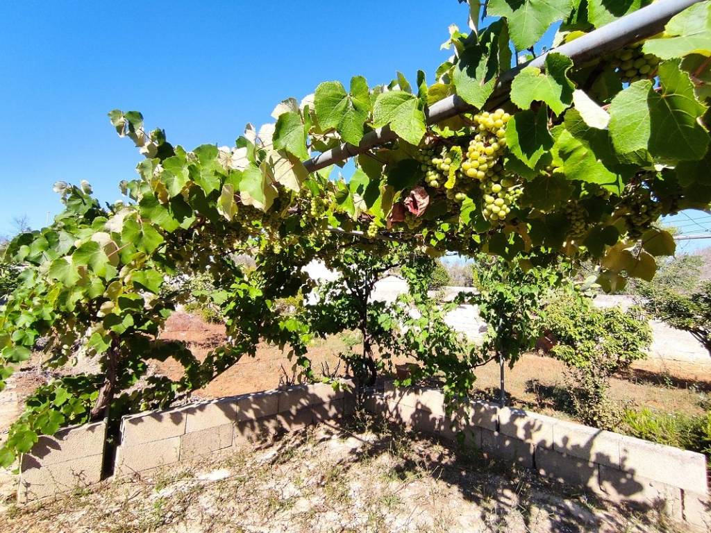 Terreno a Lecce in Via dell'Edera - Foto 5