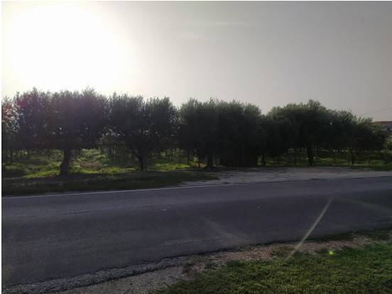 Terreno a Cisterna di latina in Via Fiorello La Guardia - Foto 2