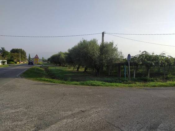 Terreno a Cisterna di latina in Via Fiorello La Guardia - Foto 3