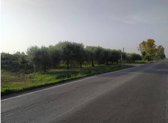 Terreno a Cisterna di latina in Via Fiorello La Guardia - Foto 4
