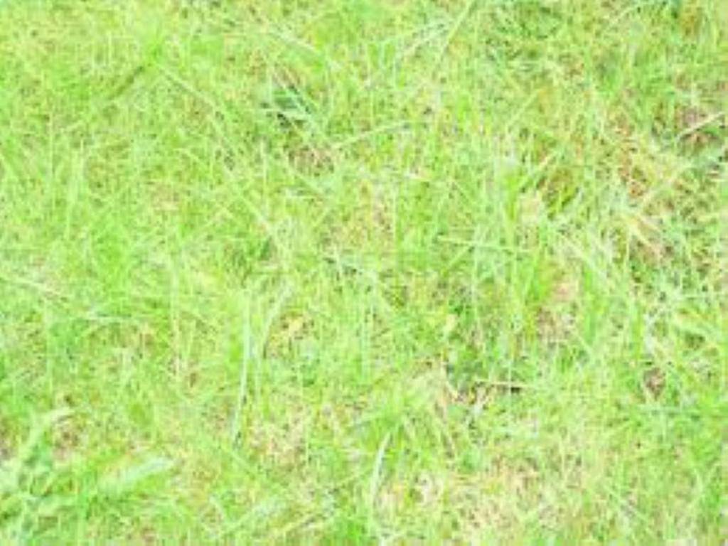 Terreno a Olgiate comasco in via via gerbo - Foto 3
