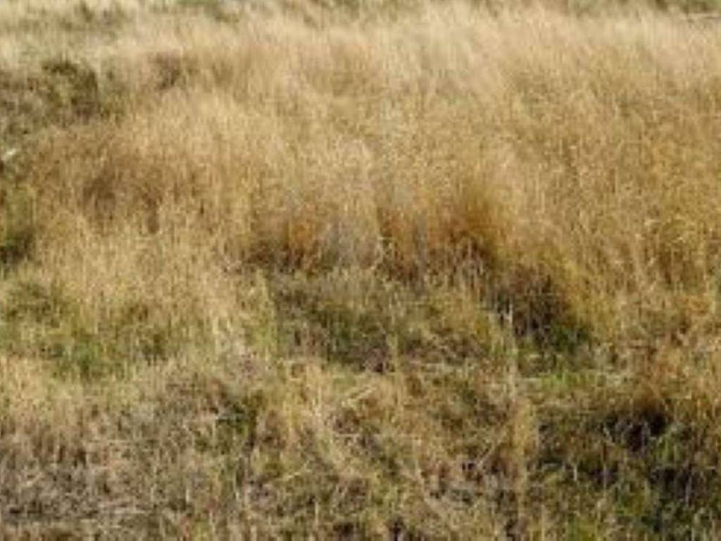 Terreno a Olgiate comasco in via via gerbo - Foto 5