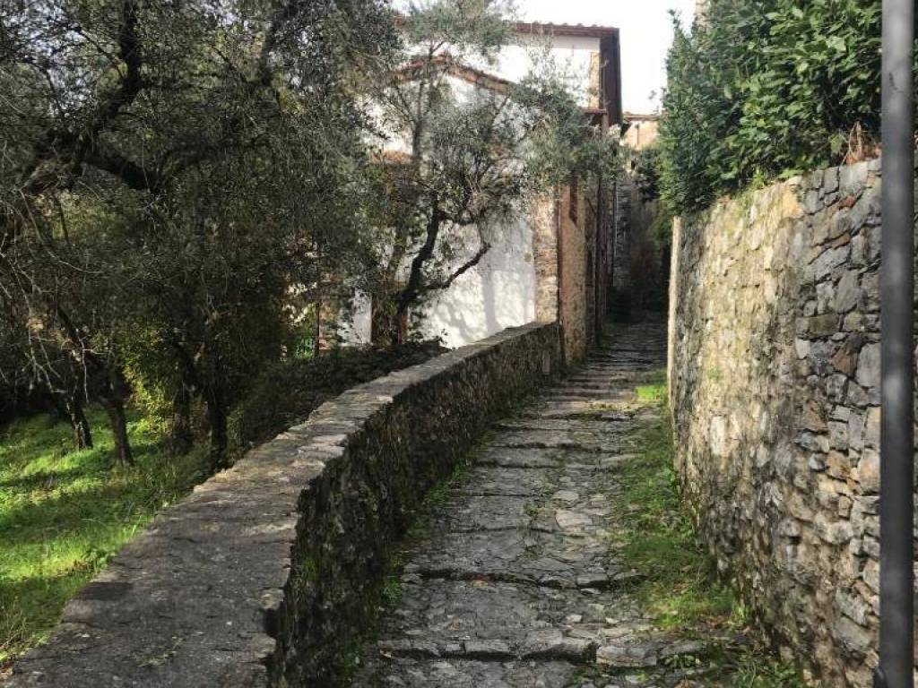 Casa indipendente a Camaiore in Colline Camaiore - Foto 5