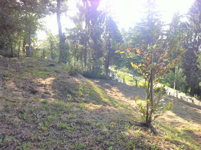 Terreno a Colle brianza in Via Alessandro Manzoni - Foto 3