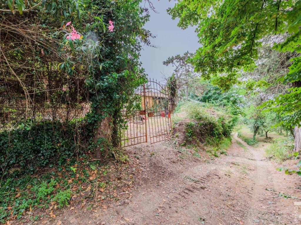 Rustico / casale a Poggibonsi in Strada Comunale da Poggibonsi a Talciona - Foto 5