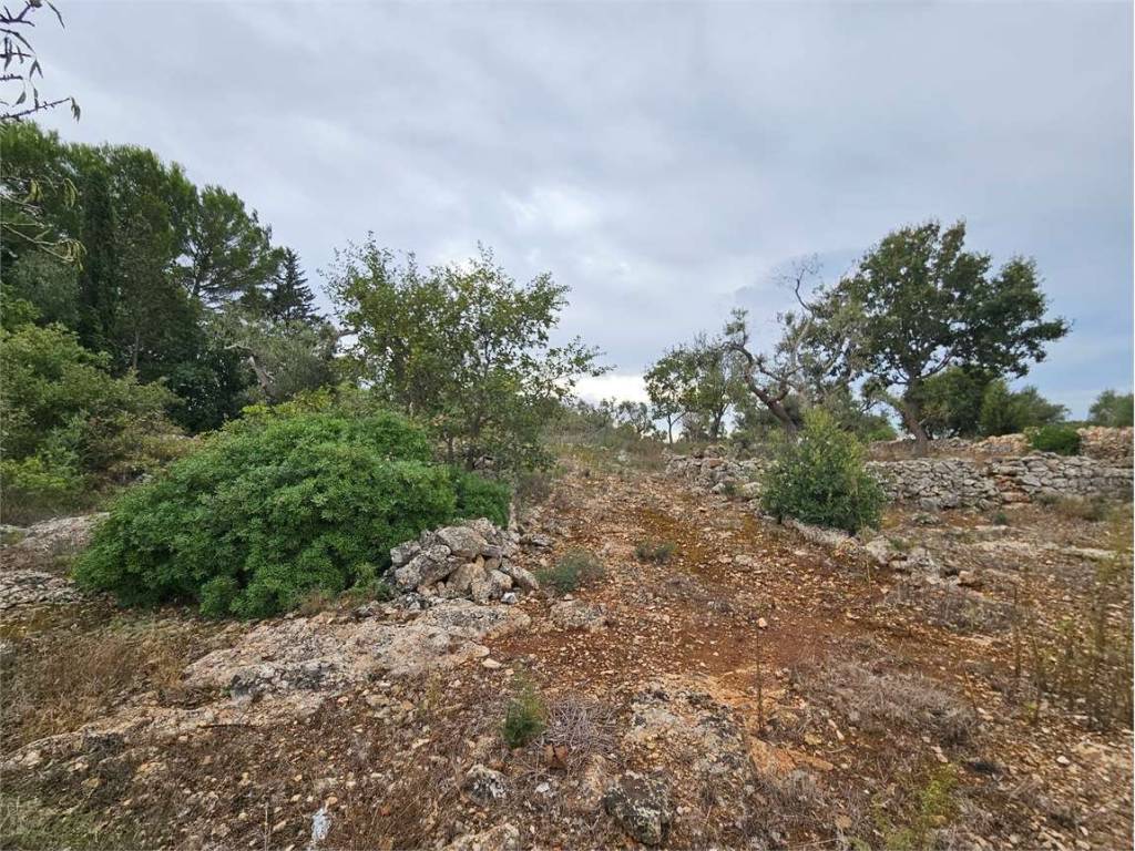 Terreno a Carovigno - Foto 2