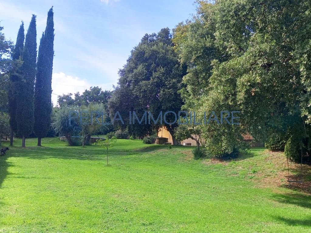 Rustico / casale a Magliano in toscana in Strada Consortile Poggio Maestrino - Foto 4