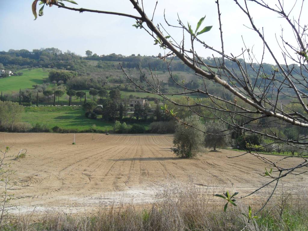 Terreno a Civitanova marche - Foto 2