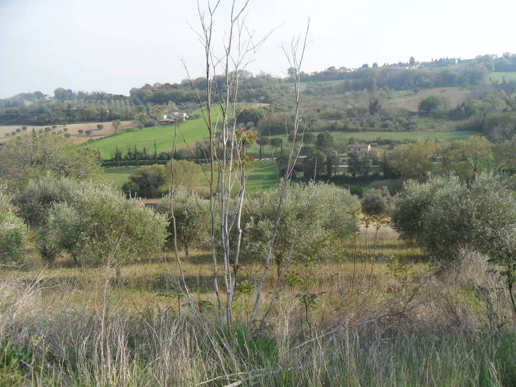 Terreno a Civitanova marche - Foto 4