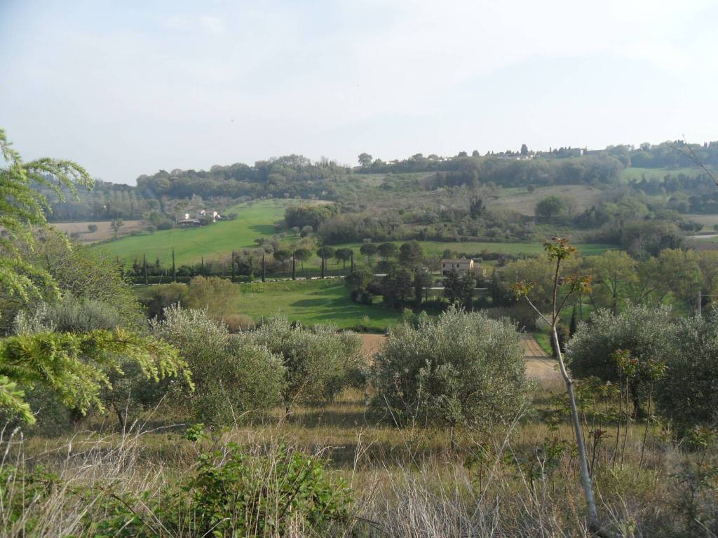 Terreno a Civitanova marche - Foto 5