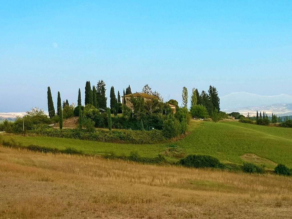 Rustico / casale a Buonconvento - Foto 2