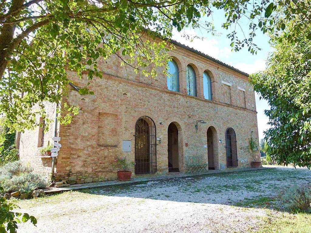 Rustico / casale a Buonconvento - Foto 5