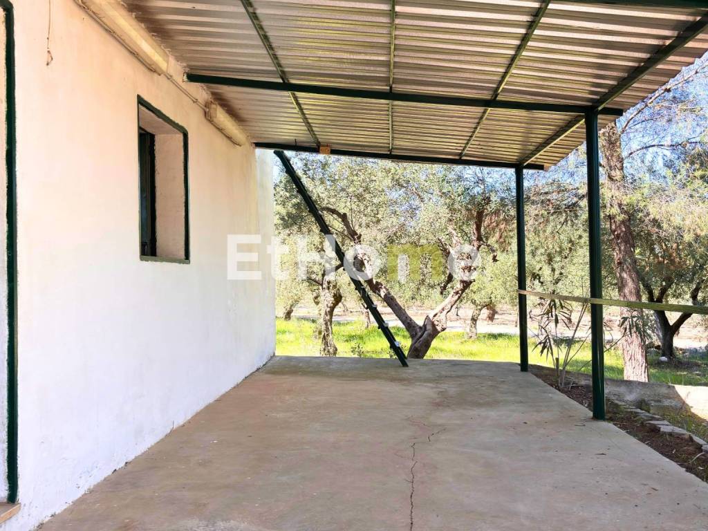 Villa a Andria in Contrada Lama di Carro - Foto 4