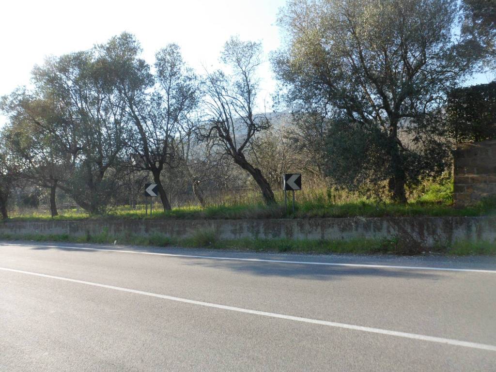 Terreno a Forchia in Strada Statale 7, 106 - Foto 2