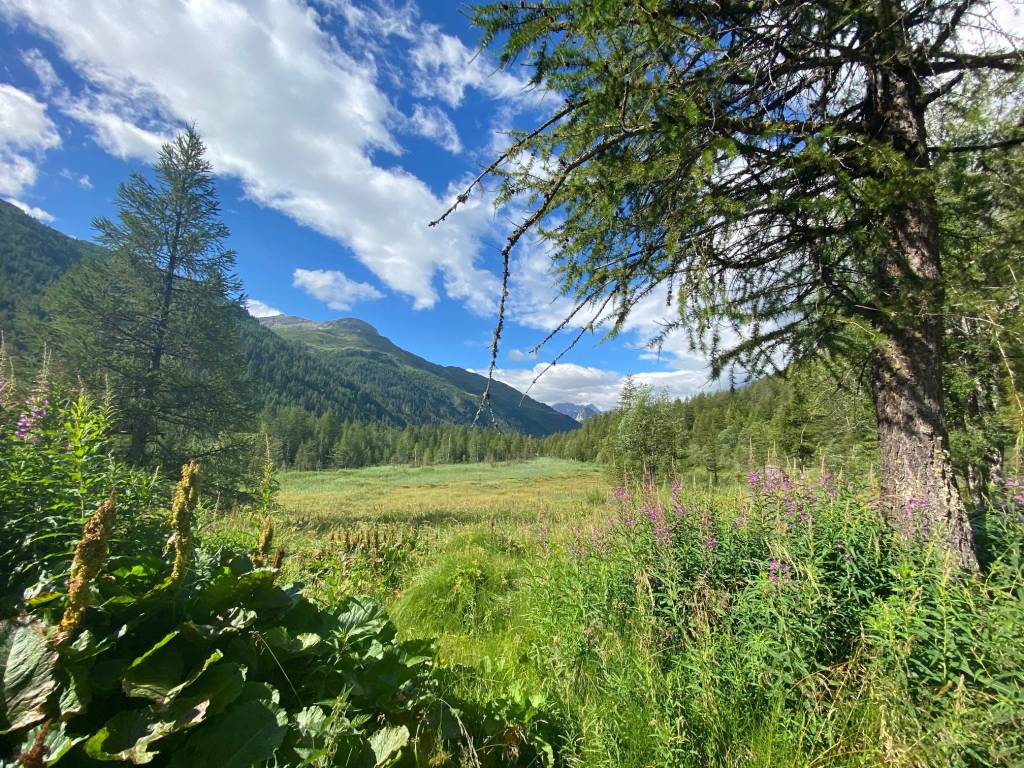 Appartamento a Courmayeur in val ferret - Foto 3